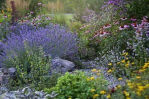 perennial flowers low maintenance