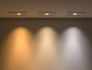 Warm White vs Soft White