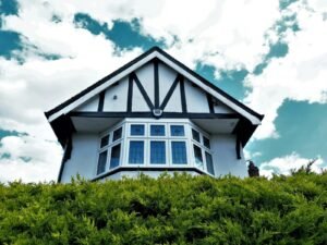 modern tudor homes