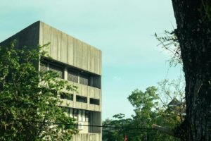 eco brutalism