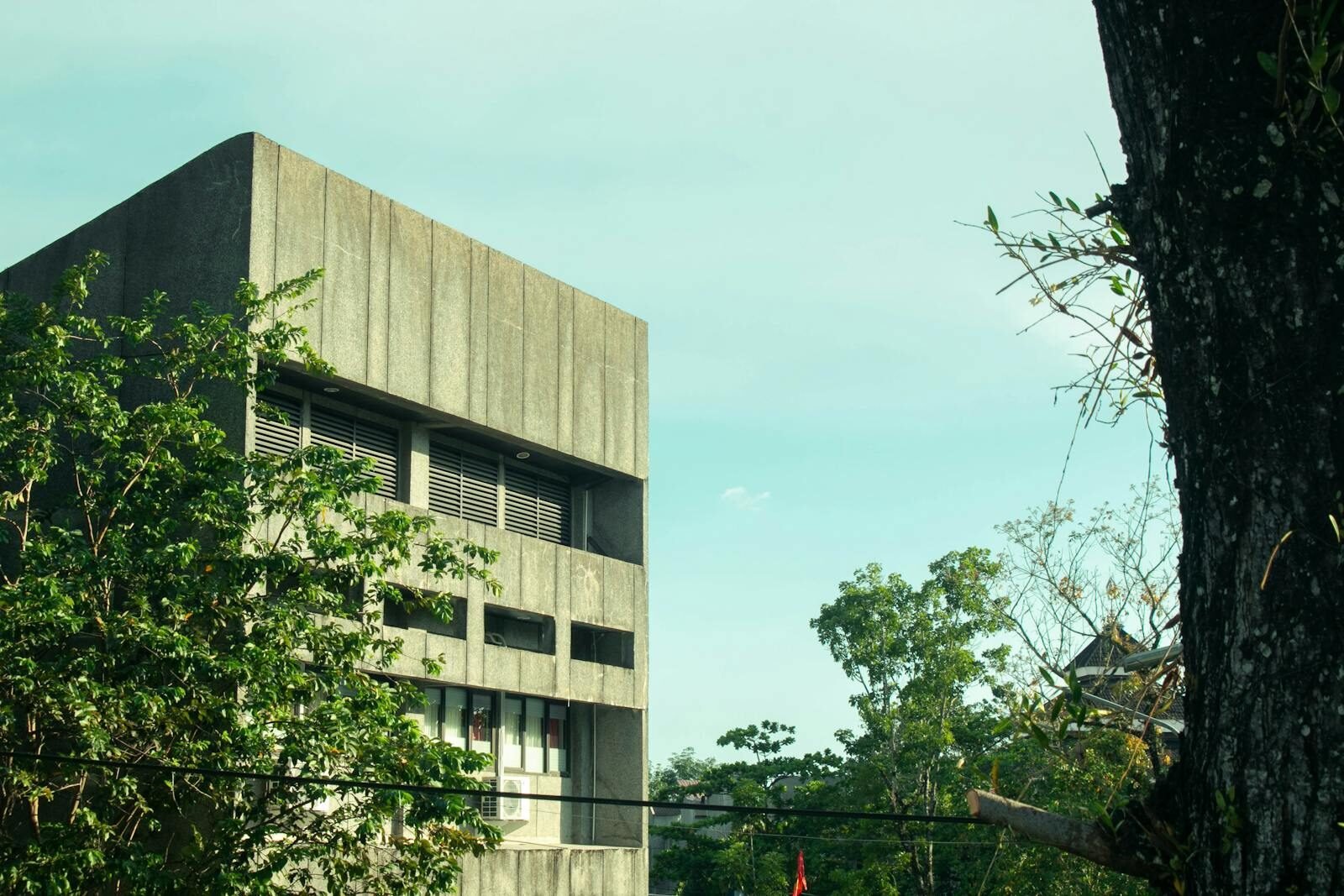 eco brutalism