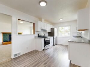 small kitchen remodel