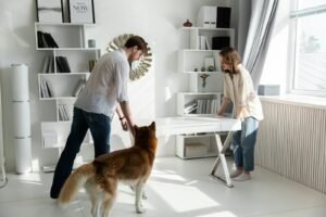 how to create a pet-friendly home